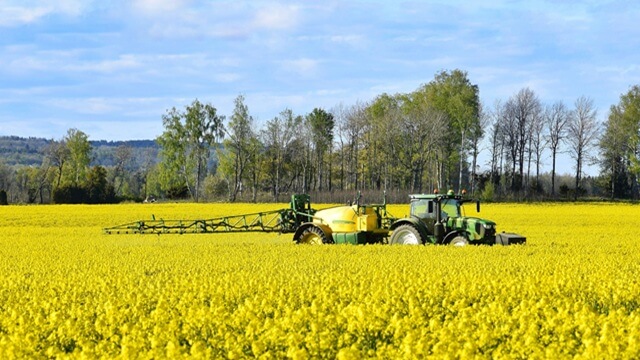 Tractor spraying crops in a blooming yellow canola field with trees and blue sky in the background.